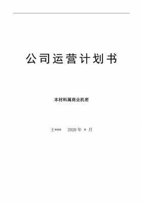 运营计划书模板简单的 企业运营计划书模板-第2张图片-马瑞范文网