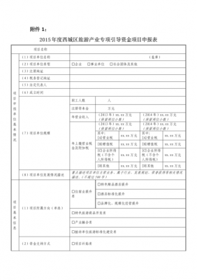 产业项目申报表模板（产业项目申报书范文）-第2张图片-马瑞范文网