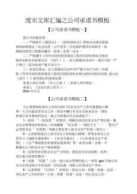 公司承诺书承诺内容怎么写-公司承诺书格式模板-第2张图片-马瑞范文网