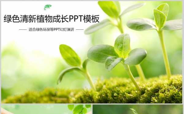 绿色发芽ppt模板-第3张图片-马瑞范文网