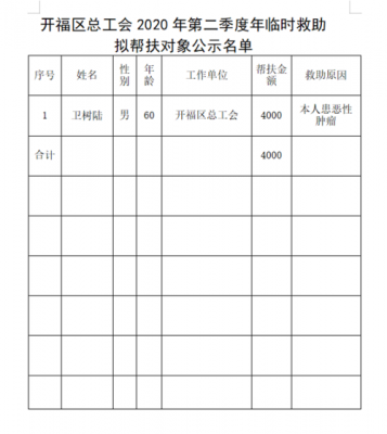 帮扶信息公示模板,帮扶信息公示模板图片 -第3张图片-马瑞范文网