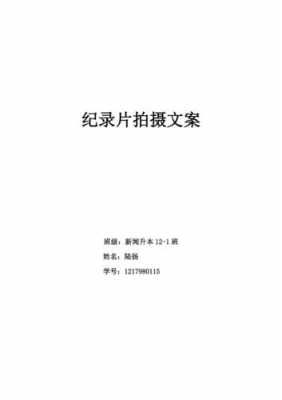 纪录片提案模板_纪录片提案模板范文-第3张图片-马瑞范文网