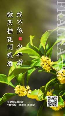 桂花模板-第2张图片-马瑞范文网