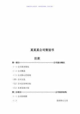 开公司方案模板（开公司要写什么策划书）-第3张图片-马瑞范文网