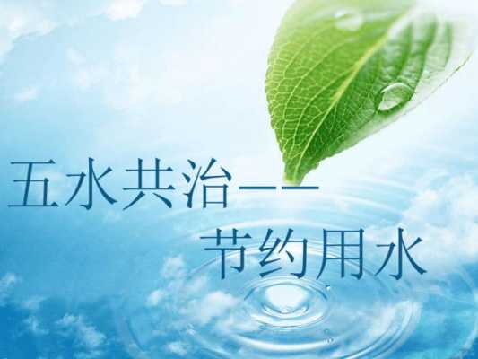 五水共治ppt模板-第2张图片-马瑞范文网