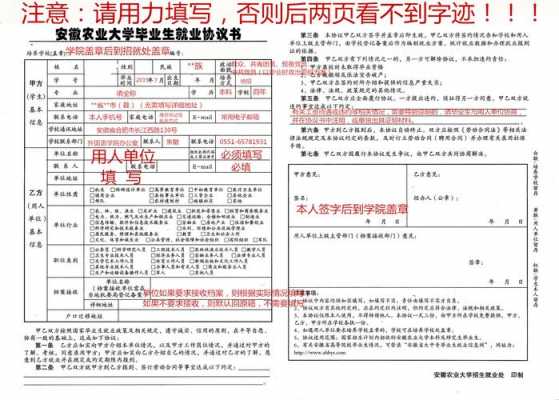  三方协议怎么填写模板「三方协议书怎么填」-第1张图片-马瑞范文网