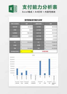 资金分析模板的简单介绍-第3张图片-马瑞范文网