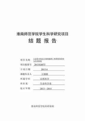 结题报告模板范文200字-第3张图片-马瑞范文网