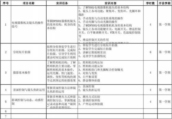 实训项目模板,实训内容项目简介 -第2张图片-马瑞范文网