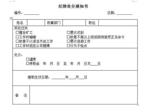 记过处分公文模板 记过处分通告模板-第2张图片-马瑞范文网