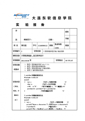 c实验报告答案 c实验报告模板-第3张图片-马瑞范文网