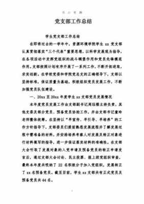 中党总结报告模板,党总结怎么写 -第3张图片-马瑞范文网