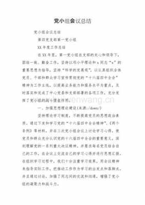 中党总结报告模板,党总结怎么写 -第2张图片-马瑞范文网