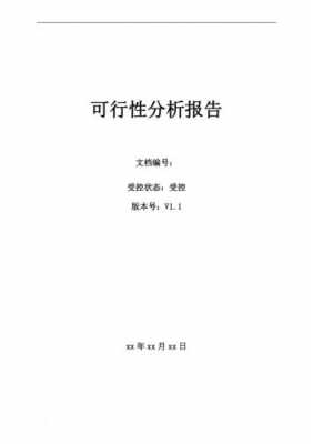 项目可行性分析报告模板-第2张图片-马瑞范文网