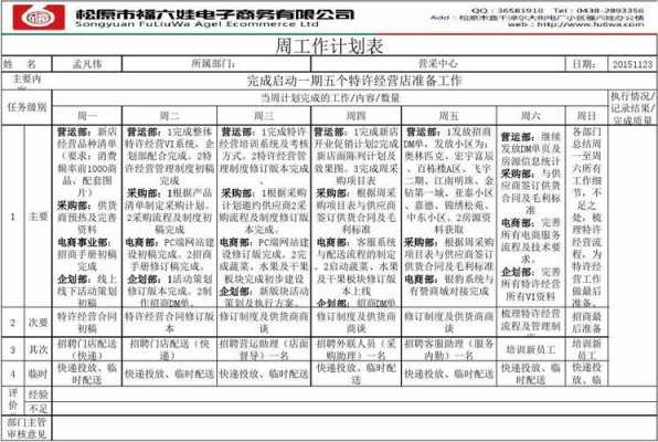  客服周计划模板下载「客服部门周工作计划」-第2张图片-马瑞范文网