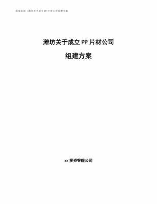 组建公司方案模板怎么写 组建公司方案模板-第3张图片-马瑞范文网