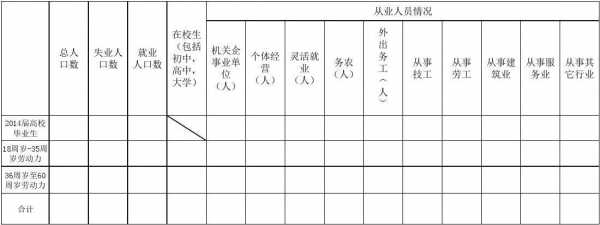  劳动力信息系统模板「劳动力信息调查表」-第3张图片-马瑞范文网