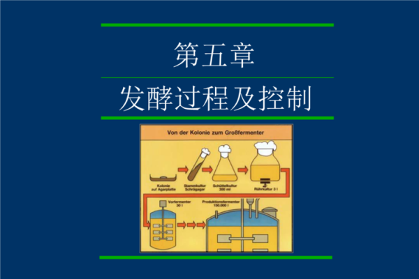 发酵工艺学ppt-发酵工程ppt模板-第2张图片-马瑞范文网