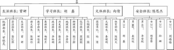 中学班级组织模板（中学班级组织模板范文）-第3张图片-马瑞范文网