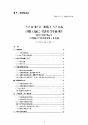 审计的信息来源 审计信息格式模板-第3张图片-马瑞范文网