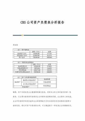 企业负债分析报告模板范文 企业负债分析报告模板-第3张图片-马瑞范文网