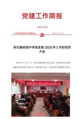  党员支委会简报模板「支部委员会工作简报」-第3张图片-马瑞范文网