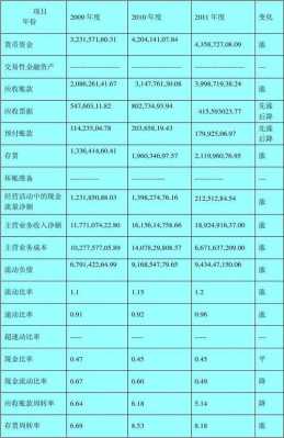 债务能力分析模板怎么写-债务能力分析模板-第2张图片-马瑞范文网