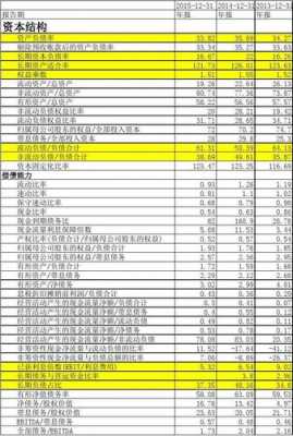 债务能力分析模板怎么写-债务能力分析模板-第1张图片-马瑞范文网