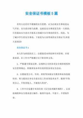 安全保证金的法律规定 安全保证金协议书模板-第2张图片-马瑞范文网