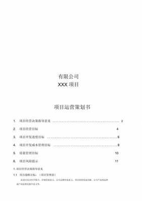 项目运营方案模板_项目运营方案模板怎么写-第2张图片-马瑞范文网