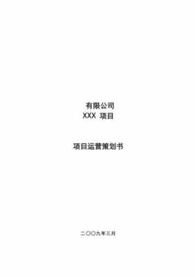 项目运营方案模板_项目运营方案模板怎么写-第3张图片-马瑞范文网