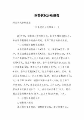 财务分析报告总结模板下载_财务分析报告总结怎么写-第3张图片-马瑞范文网