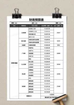  财务预算月报表格模板「财务预算报告怎么做」-第2张图片-马瑞范文网