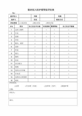 养老机构入院评估表-第2张图片-马瑞范文网