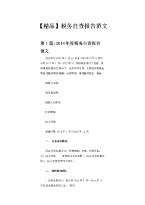 纳税评估检查-纳税评估自查报告模板-第2张图片-马瑞范文网