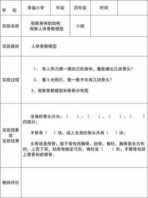 人体模板的实验总结-第2张图片-马瑞范文网