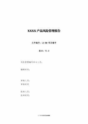 集团风险排查报告模板,集团风险防控工作情况报告 -第2张图片-马瑞范文网