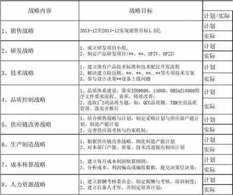 总体战略模板_总体战略怎么写-第3张图片-马瑞范文网