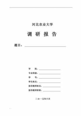 大学调查报告封面格式模板下载,大学生调研报告的封面格式 -第1张图片-马瑞范文网