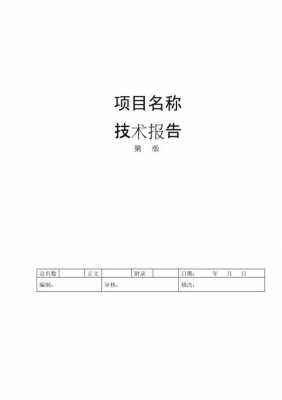 项目技术报告怎么写-技术项目报告模板-第1张图片-马瑞范文网