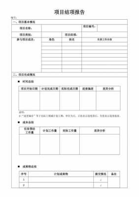 项目技术报告怎么写-技术项目报告模板-第2张图片-马瑞范文网