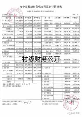  村财务公开栏模板「村财务公开报告怎么写」-第2张图片-马瑞范文网