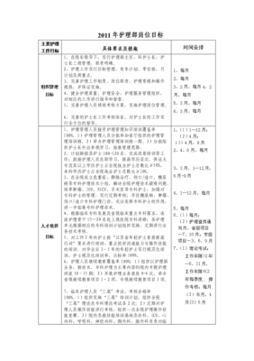 护士目标责任书模板_护士岗位职责任务目标-第3张图片-马瑞范文网