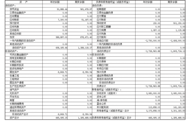 资产年报填报说明怎么填-资产年报模板-第2张图片-马瑞范文网