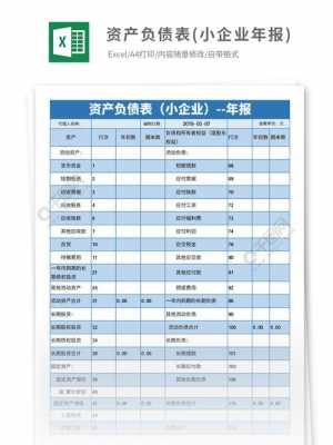 资产年报填报说明怎么填-资产年报模板-第3张图片-马瑞范文网