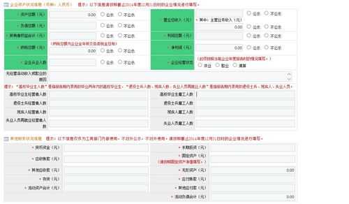 资产年报填报说明怎么填-资产年报模板-第1张图片-马瑞范文网