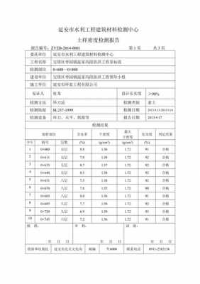 密实度检测报告模板-第2张图片-马瑞范文网