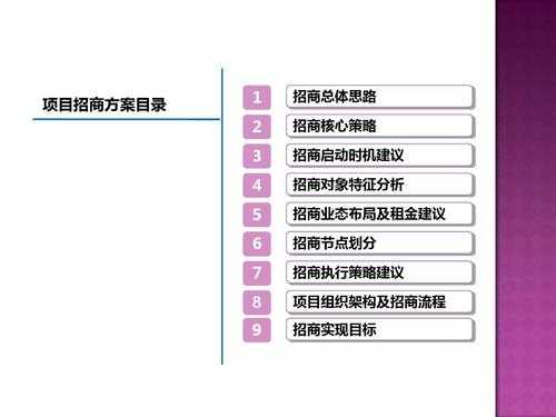 销售招商方案模板,招商销售技巧 -第3张图片-马瑞范文网