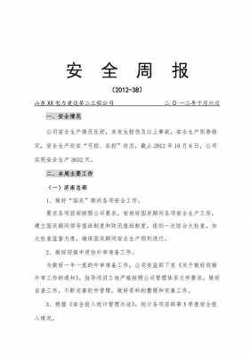 安全周报告模板下载,安全周报告怎么写 -第2张图片-马瑞范文网