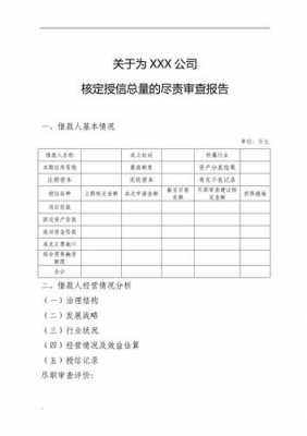  授信年终总结表格模板「授信报告范文」-第1张图片-马瑞范文网